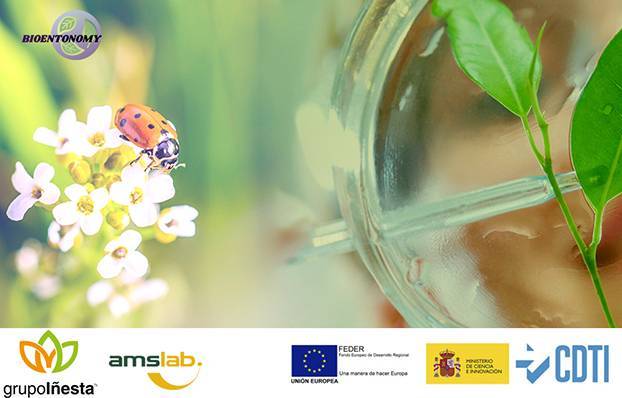 proyecto bientonomy investigación grupo iñesta|Bioentonomy-insectos-bioestimulantes|Bioentonomy-insectos-bioestimulantes